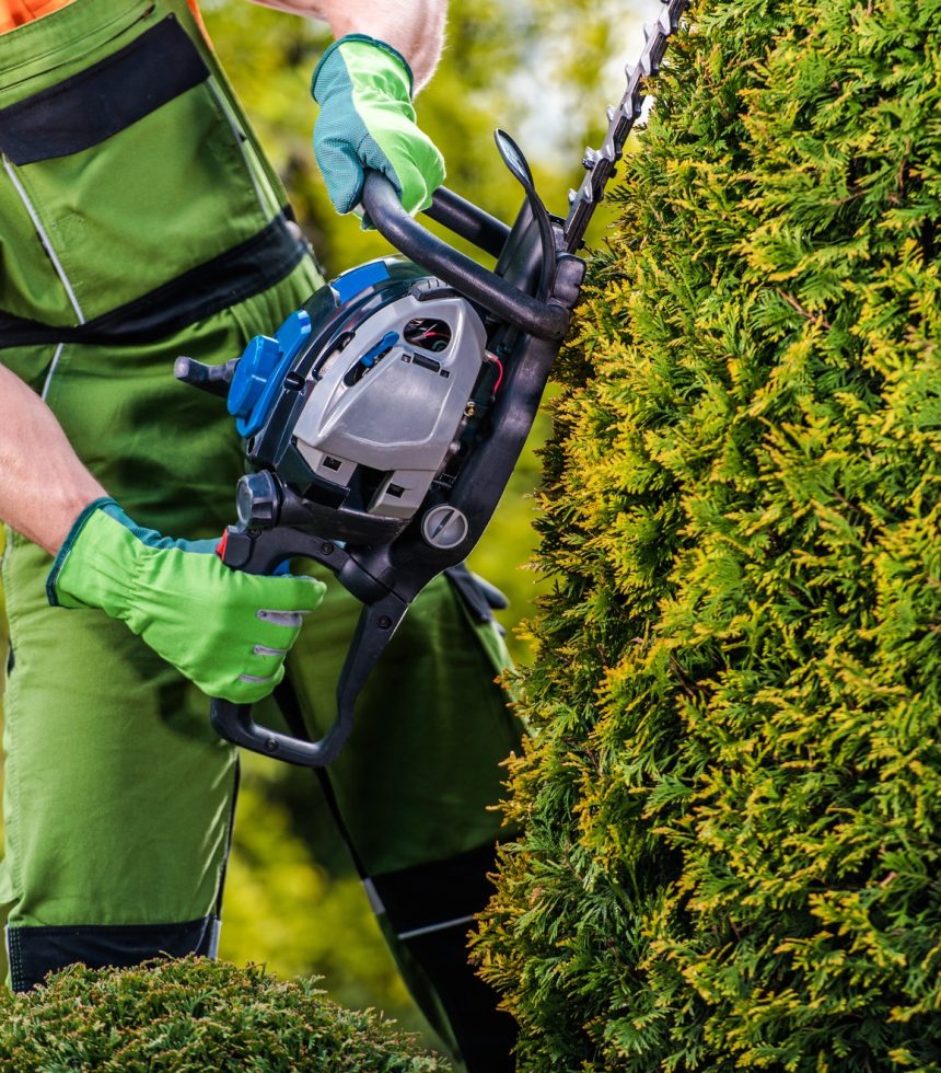 gardener-topiary-job.jpg gardener-topiary-job.jpg